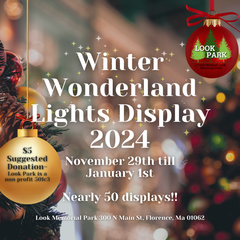 winter-wonderland-lights-diplay-2024